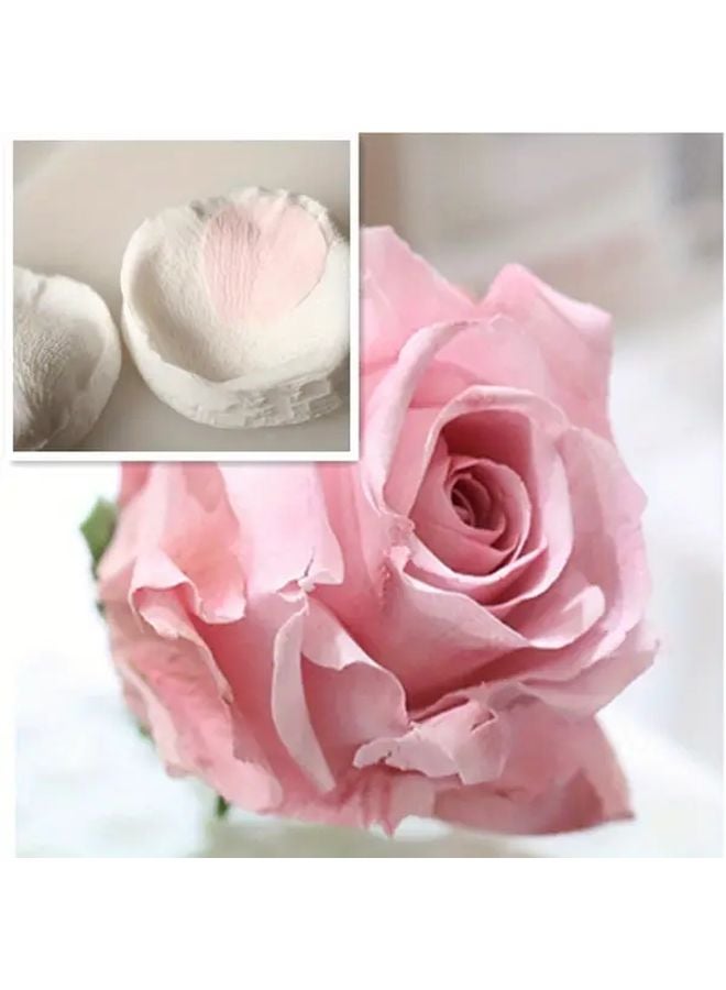 Silicone Rose Petal Veiner Mold Set For Meridian Simulation And Cake Decorating - Image 1